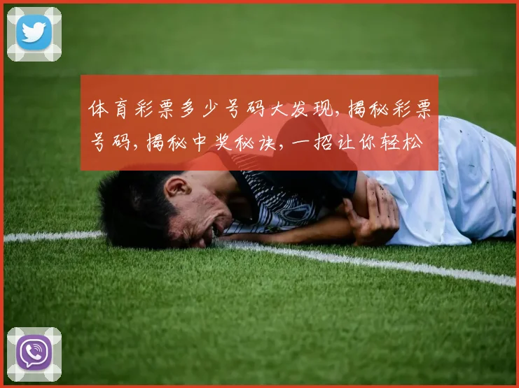 体育彩票多少号码大发现,揭秘彩票号码,揭秘中奖秘诀,一招让你轻松破解